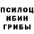 Псилоцибиновые грибы мухоморы Oylaw Sanau
