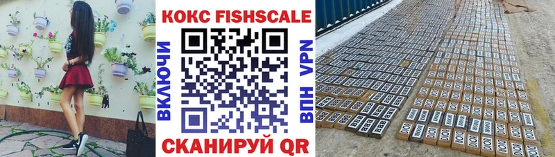 Cocaine FishScale  Электроугли 