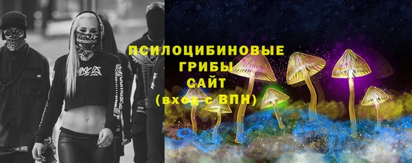 прущие грибы Абинск