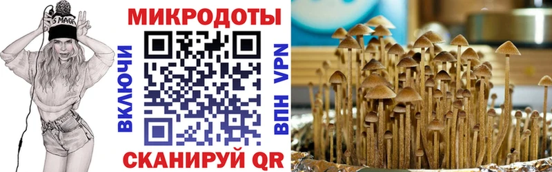Псилоцибиновые грибы MAGIC MUSHROOMS  Электроугли 